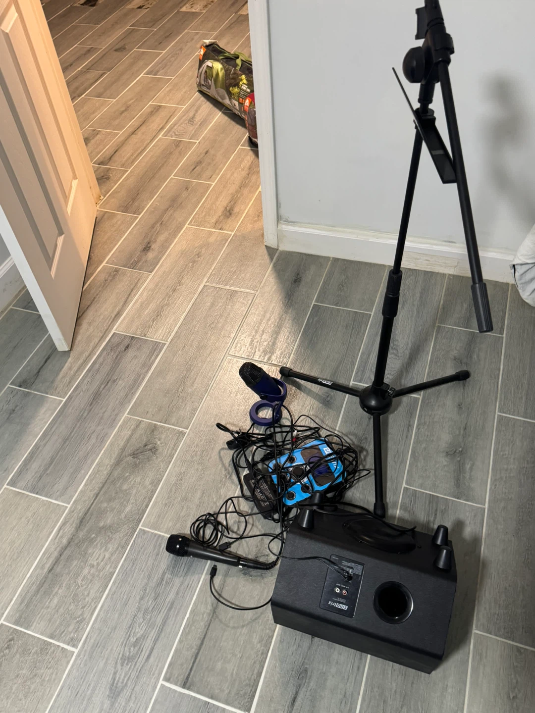 Karaoke Machine with Microphones and Stand - photo 2