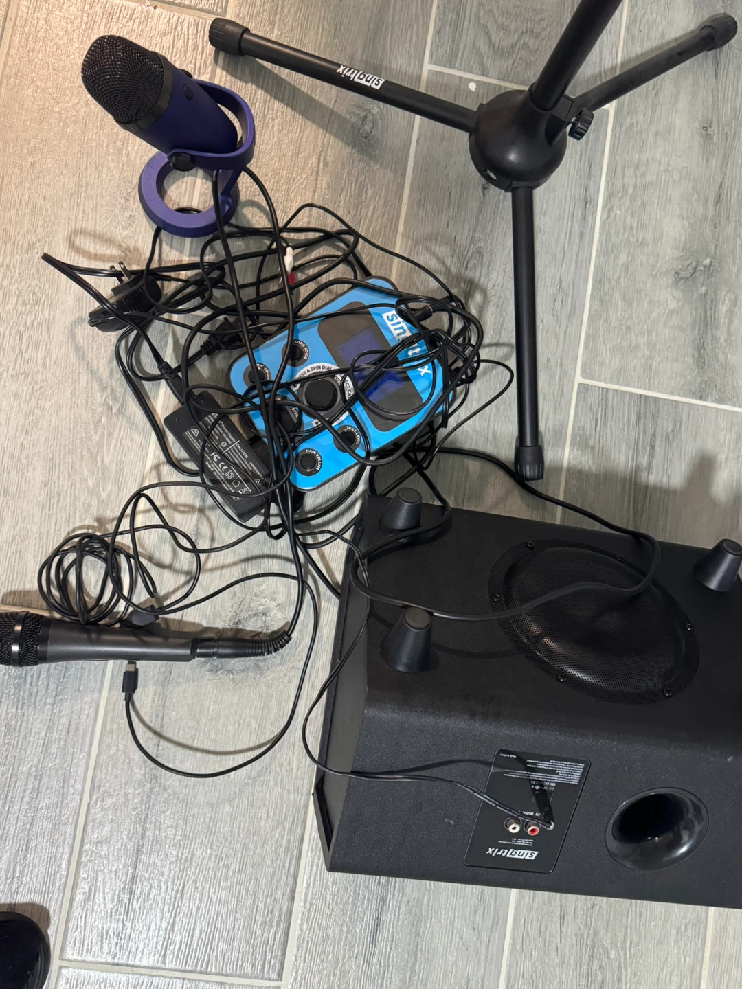 Karaoke Machine with Microphones and Stand