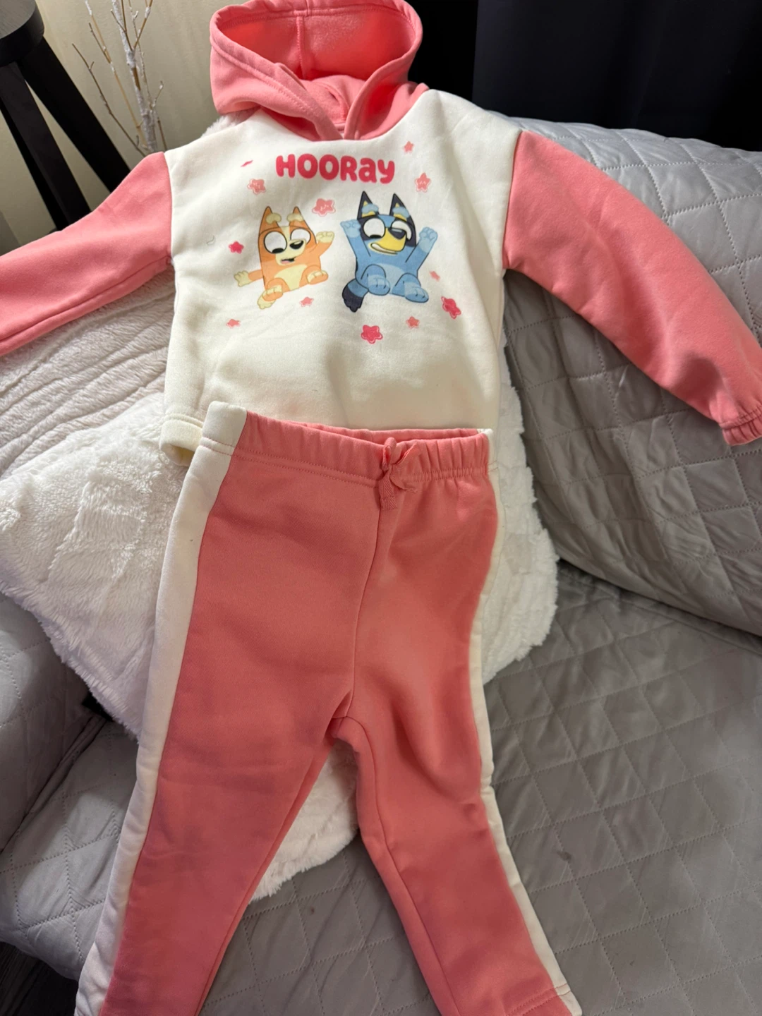 Bluey Hoodie and Pants Set Size 4T - photo 5