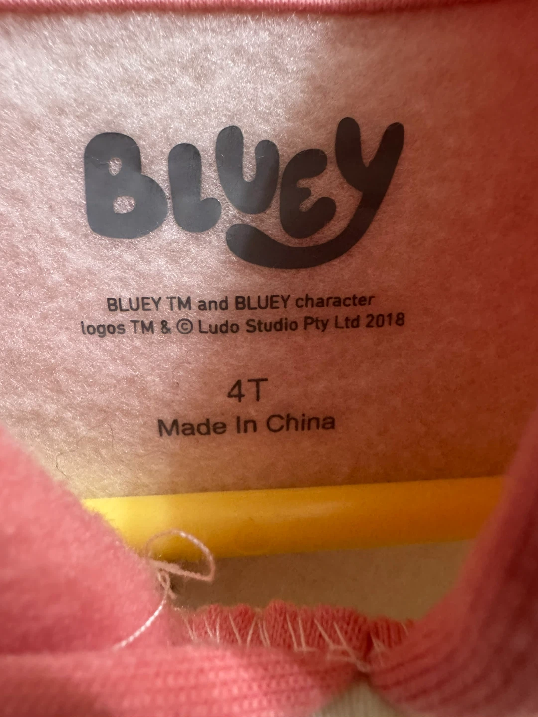 Bluey Hoodie and Pants Set Size 4T - photo 2