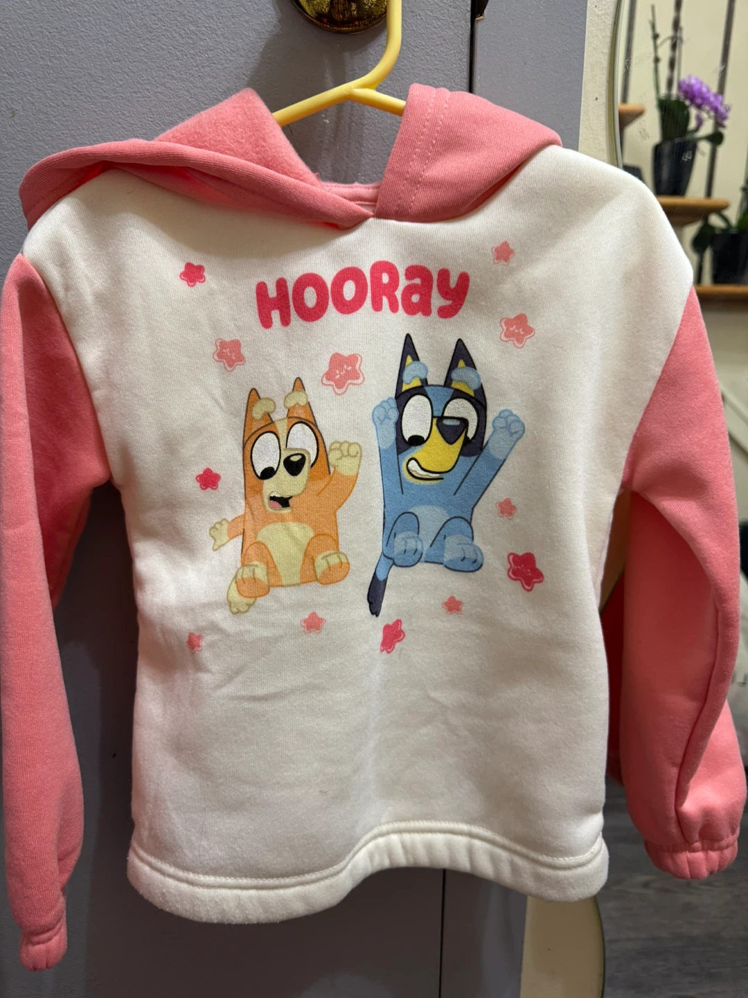 Bluey Hoodie and Pants Set Size 4T