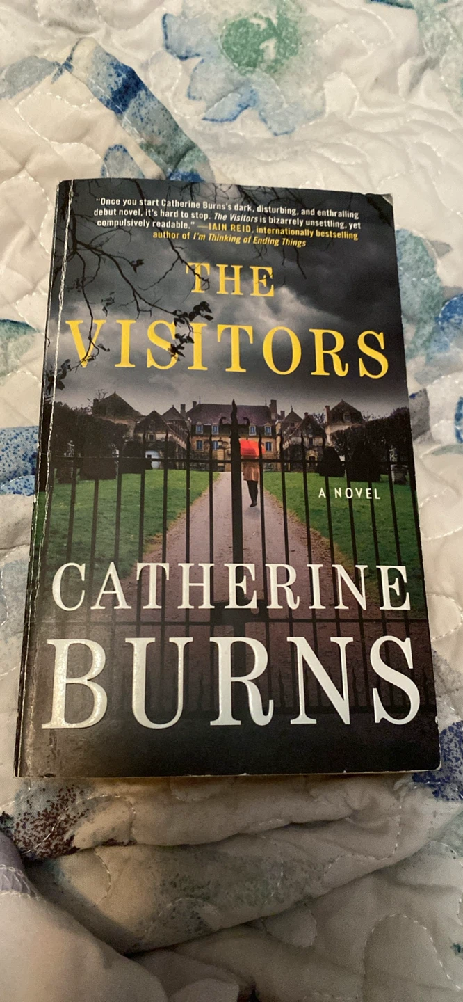 The Visitors: A Novel by Catherine Burns