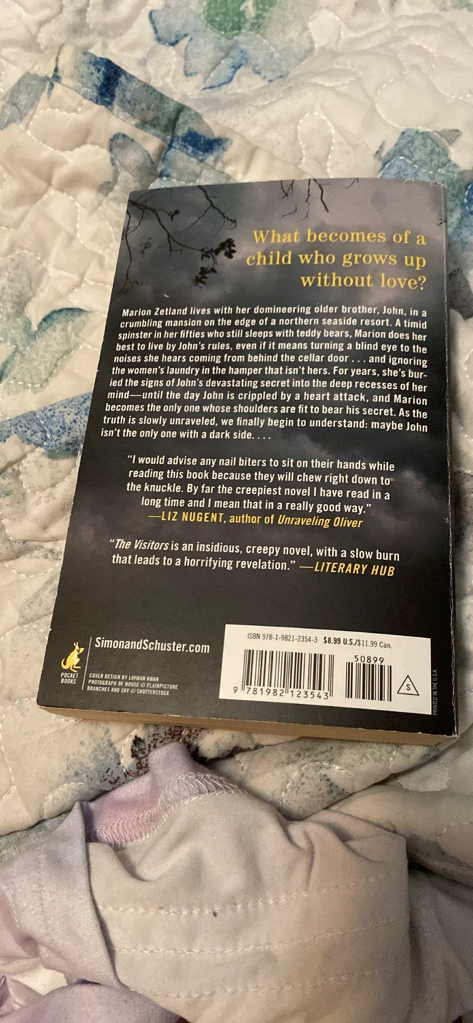 The Visitors: A Novel by Catherine Burns - photo 2