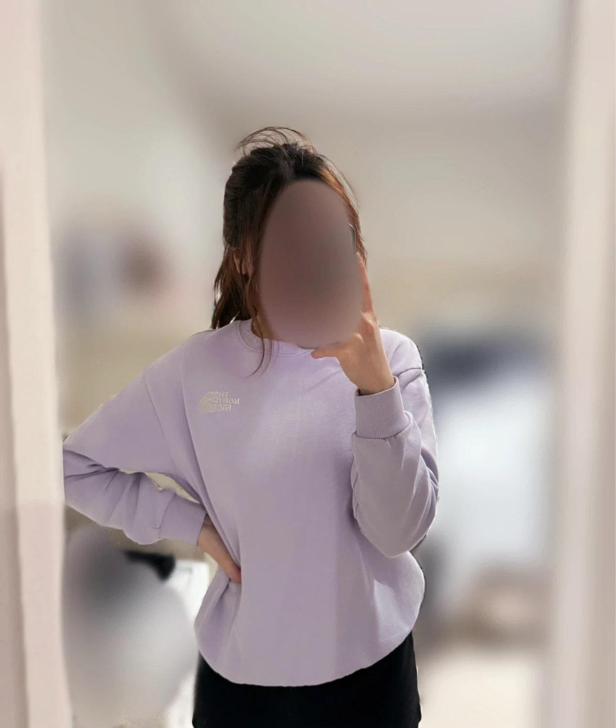 The North Face Light Purple Crewneck Sweatshirt