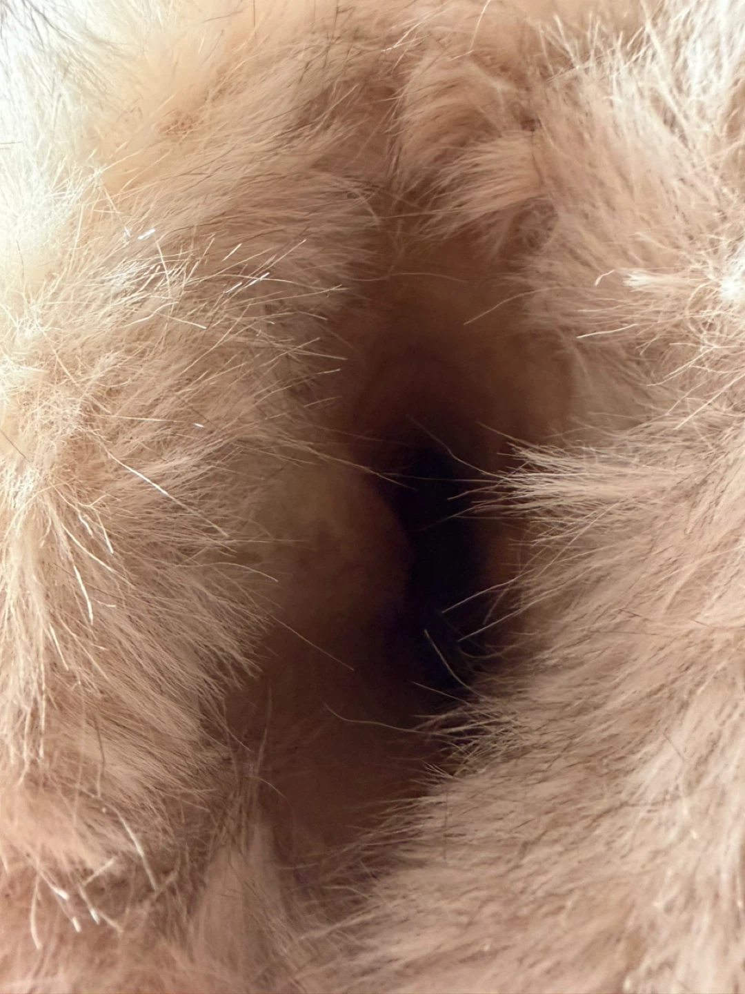 Mooloola Tan Suede Fur Lined Boots - photo 4