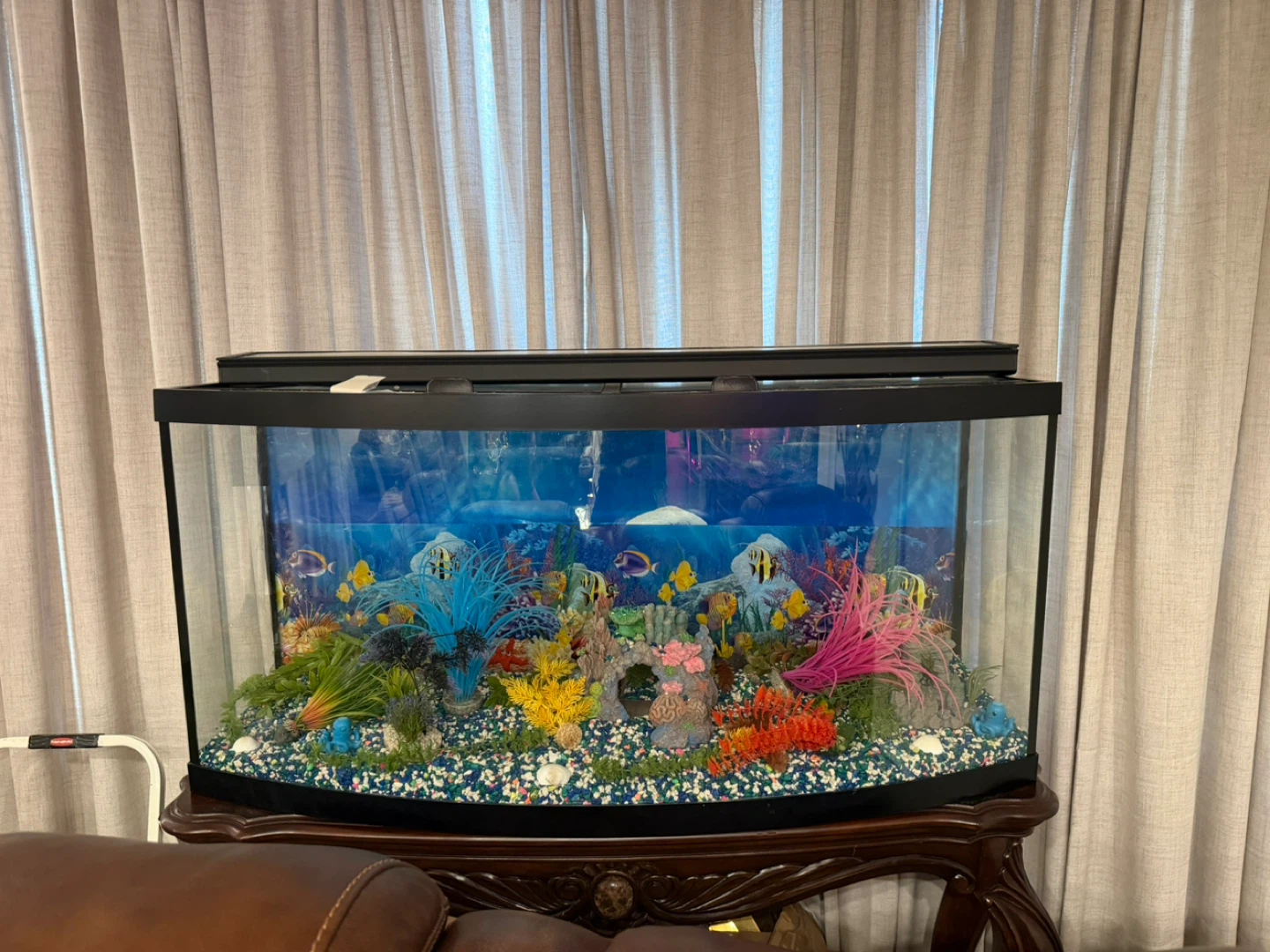 Bowfront Aquarium with Stand