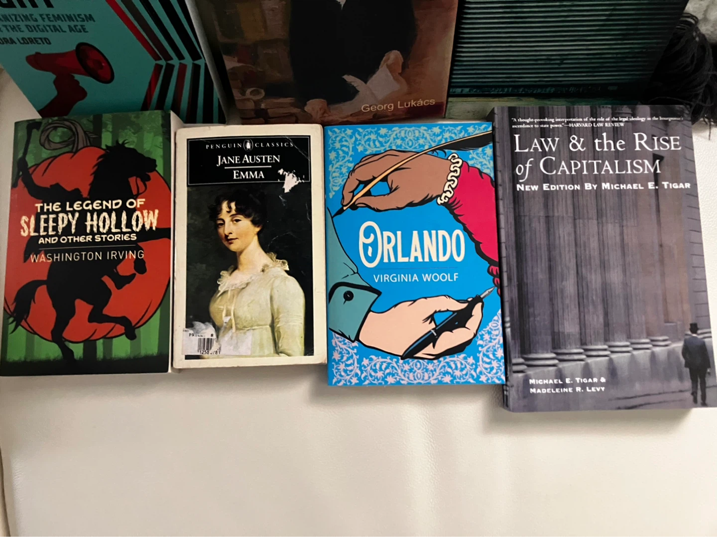 Collection of 6 books: Social theory, classics, and fiction - photo 2