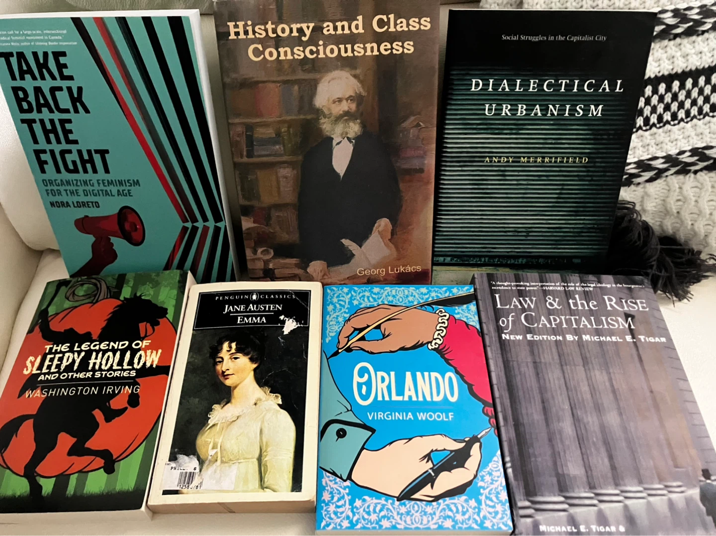 Collection of 6 books: Social theory, classics, and fiction - photo 3