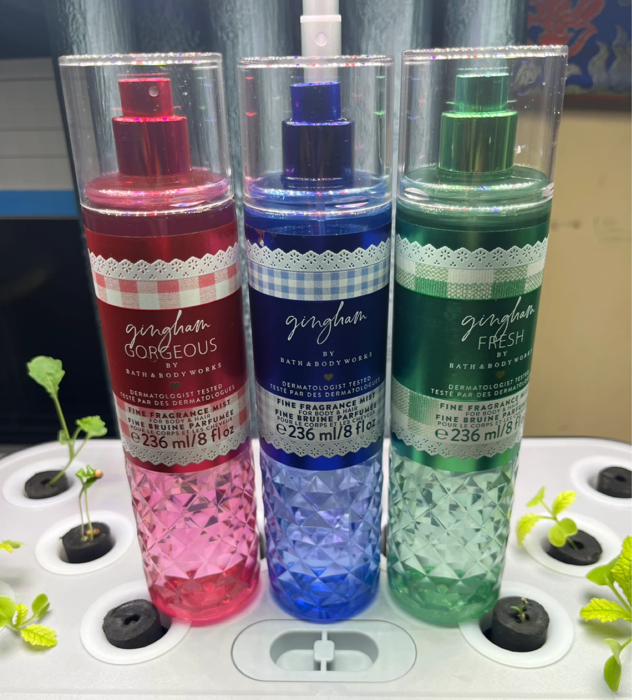 Bath & Body Works Fine Fragrance Mist Lot