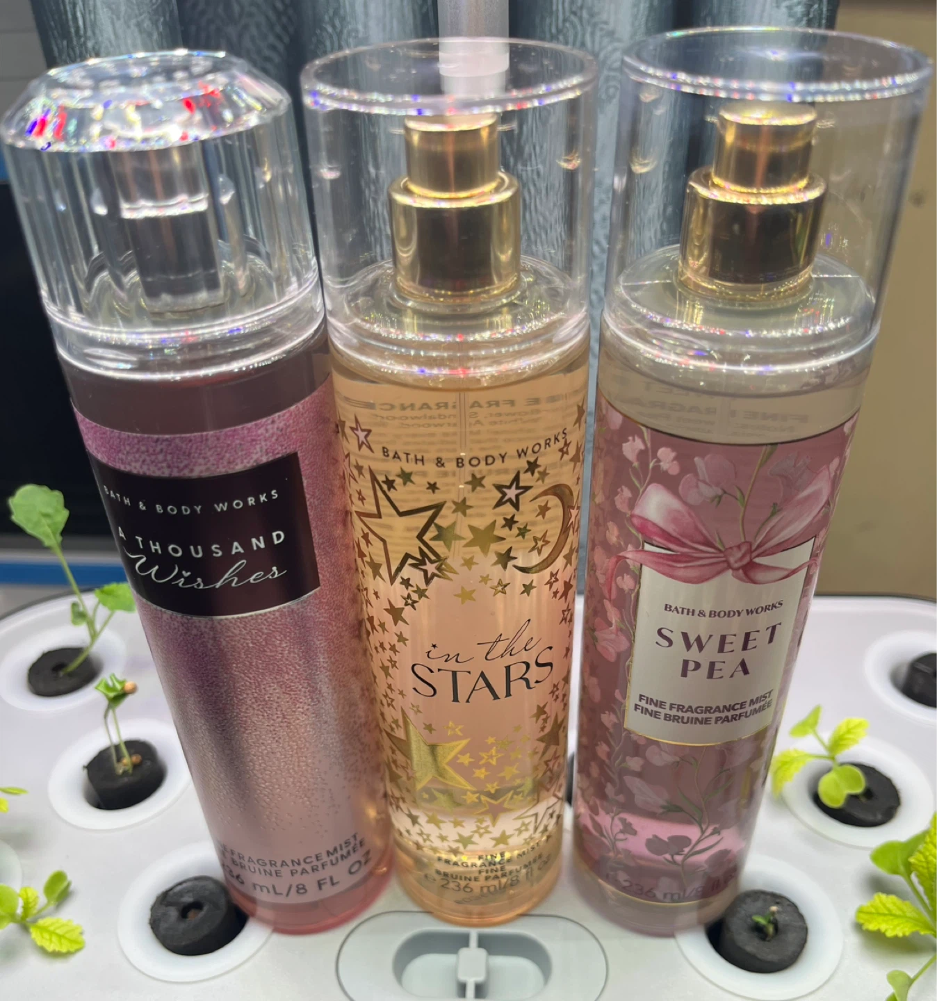 Bath & Body Works Fine Fragrance Mist Lot - photo 2