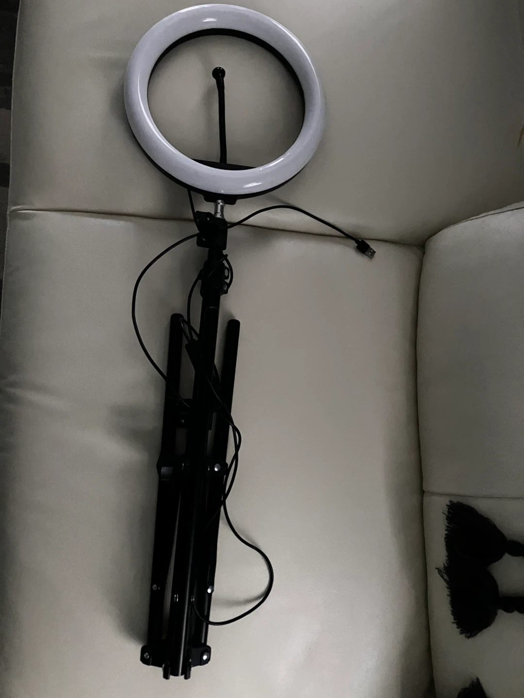 Ring Light with Tripod Stand