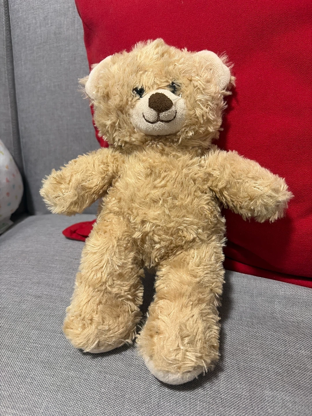 Plush Teddy Bear