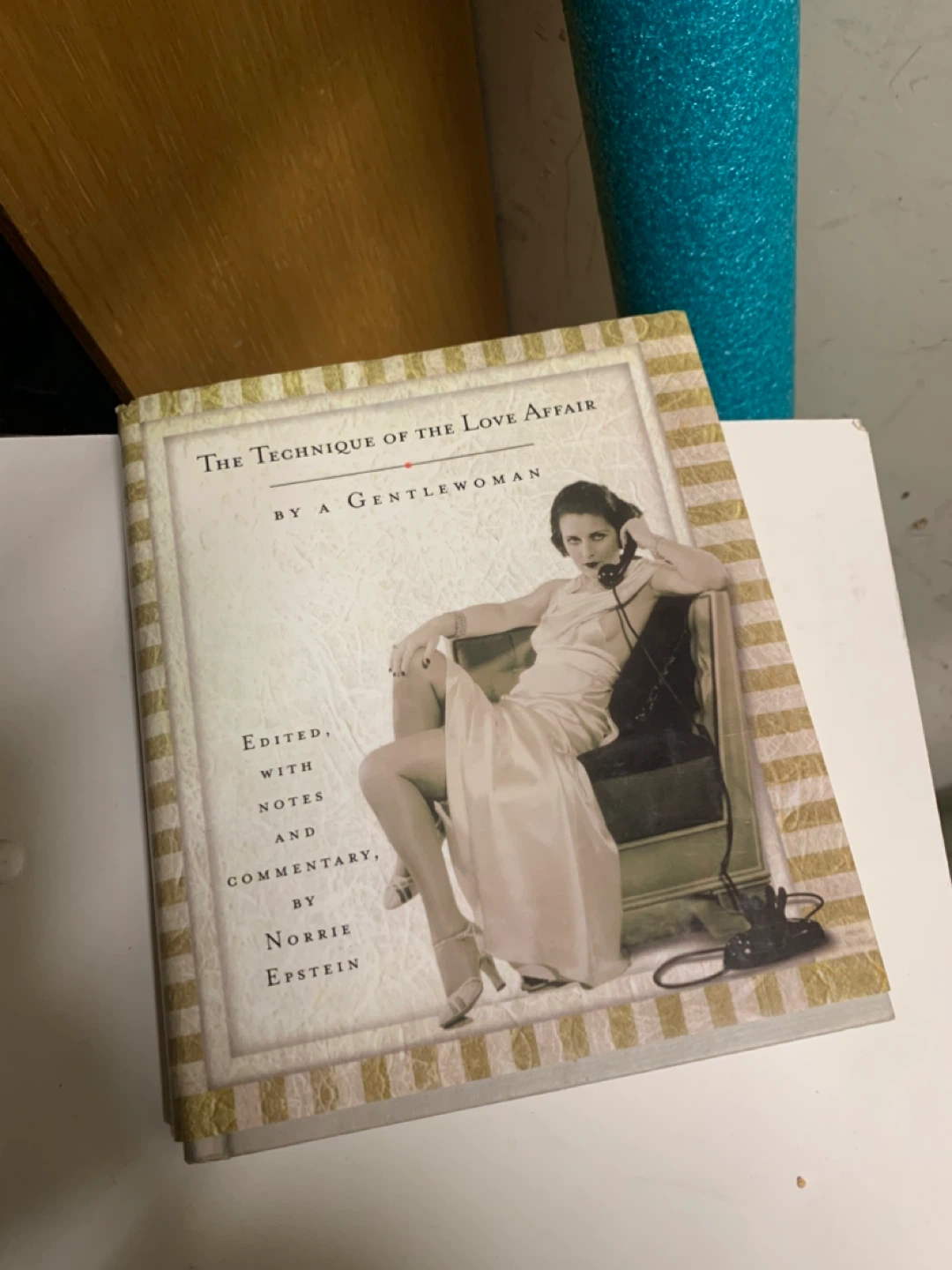 The Technique of the Love Affair by Norrie Epstein Book