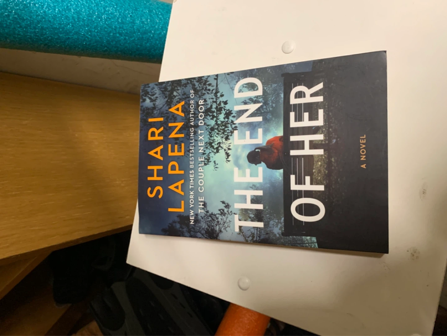 The End of Her Novel book by Shari Lapena