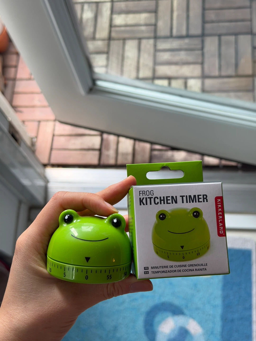 Kikkerland Frog Kitchen Timer