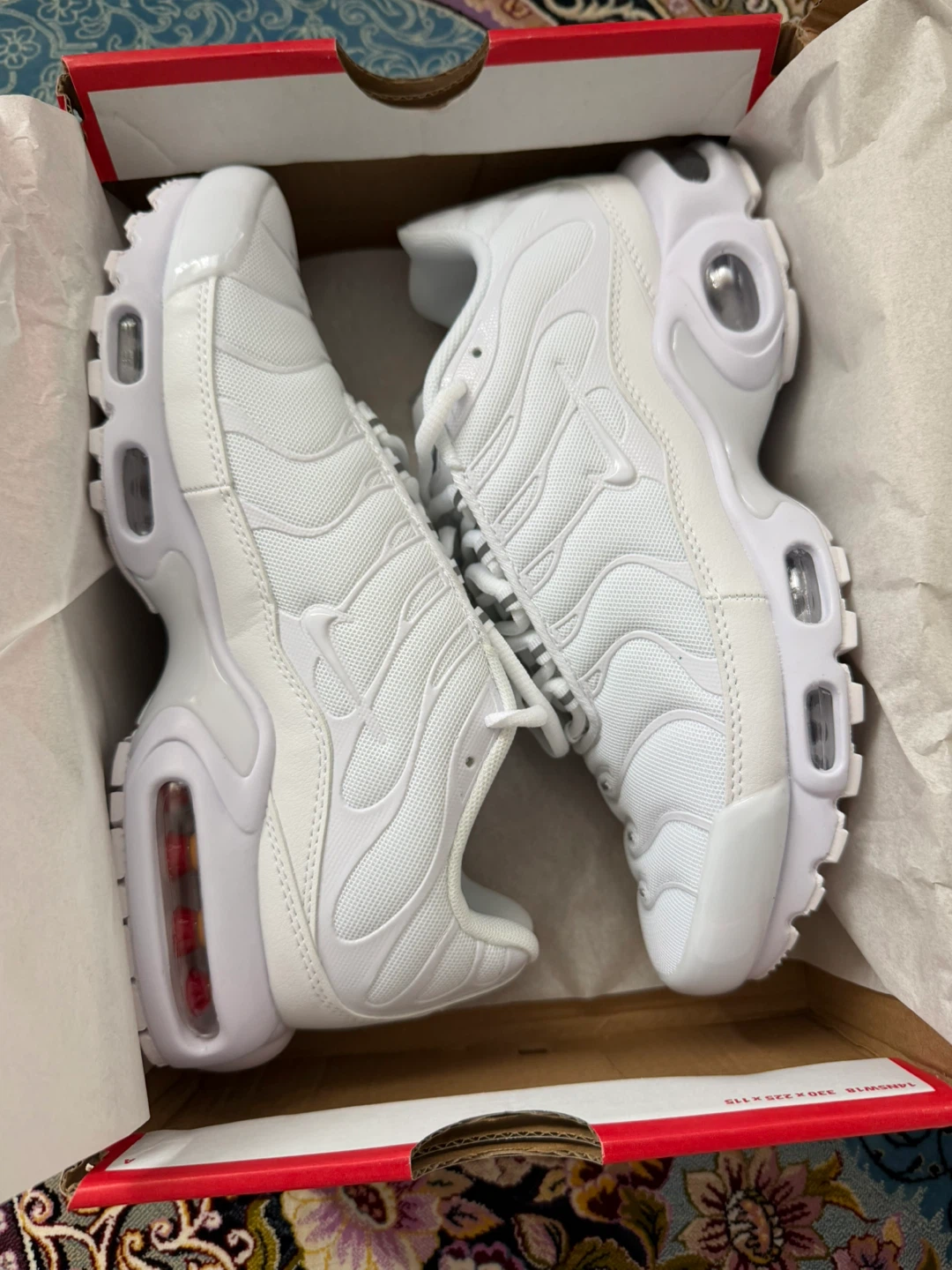 Nike Air Max Tn Plus Sneakers