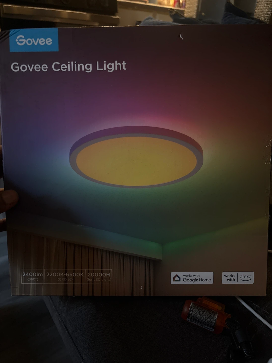 Govee Ceiling Light