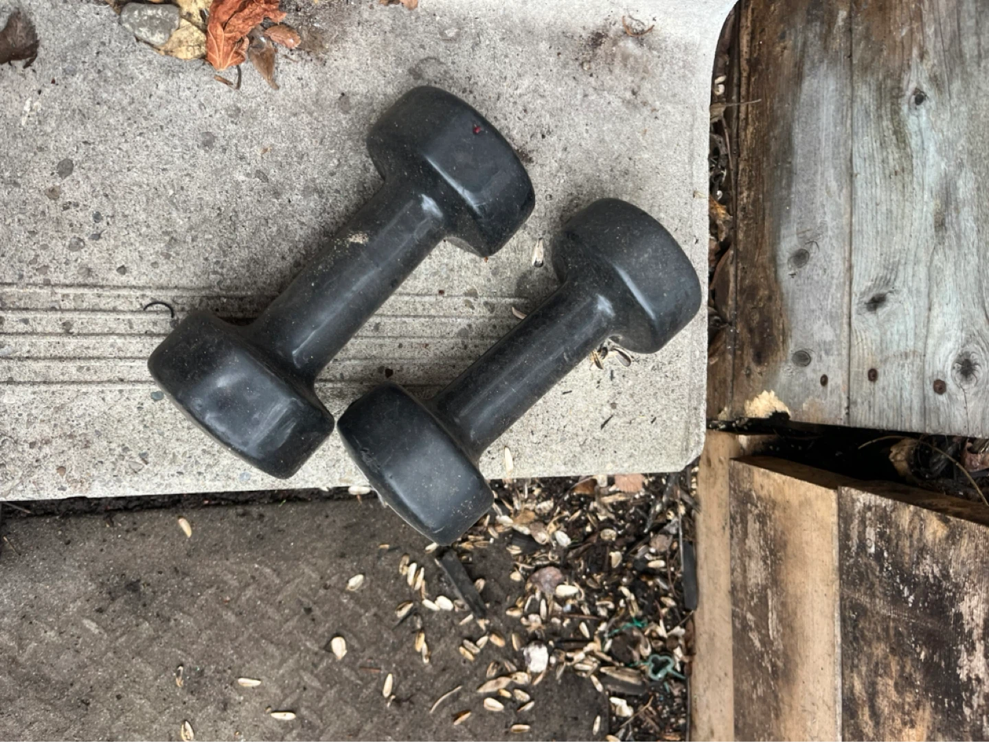 Alex 10 lb Dumbbells (Pair) - photo 2