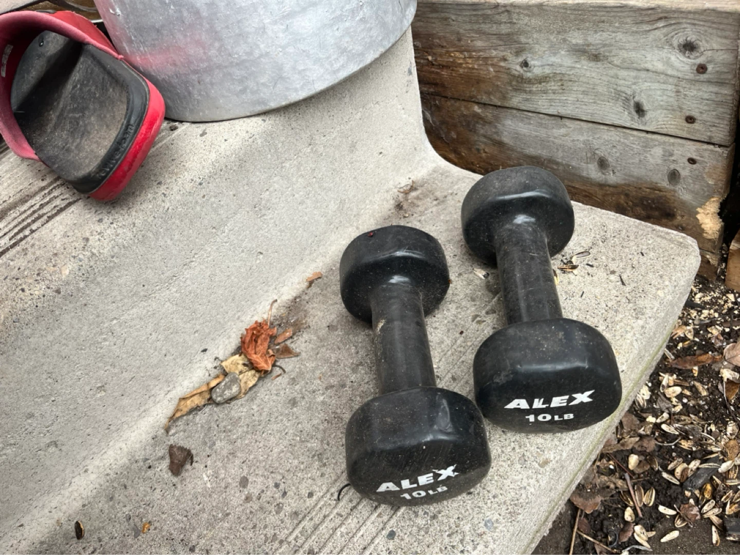 Alex 10 lb Dumbbells (Pair)