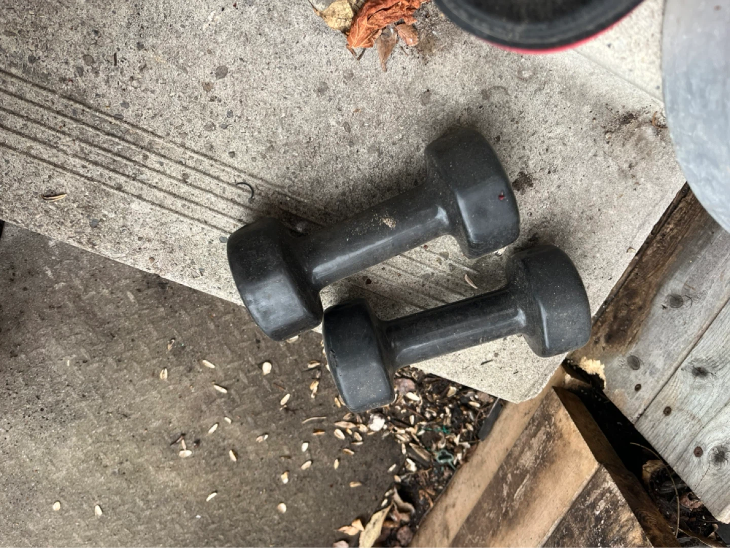 Alex 10 lb Dumbbells (Pair) - photo 3