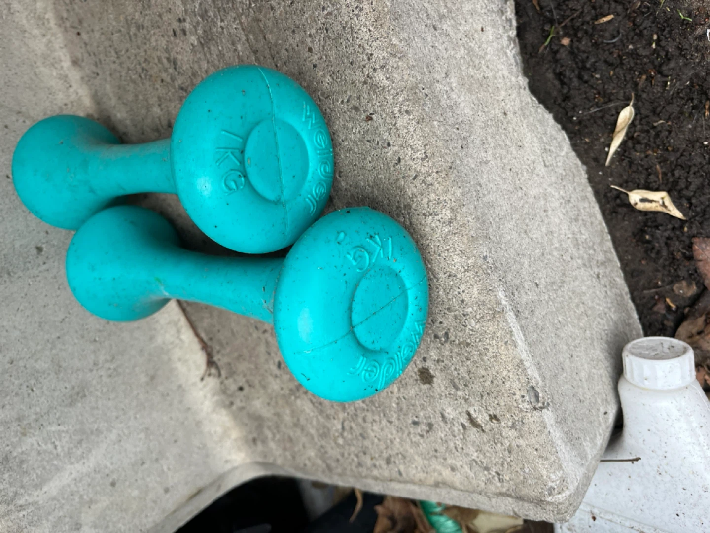 Teal 1kg Dumbbells Pair