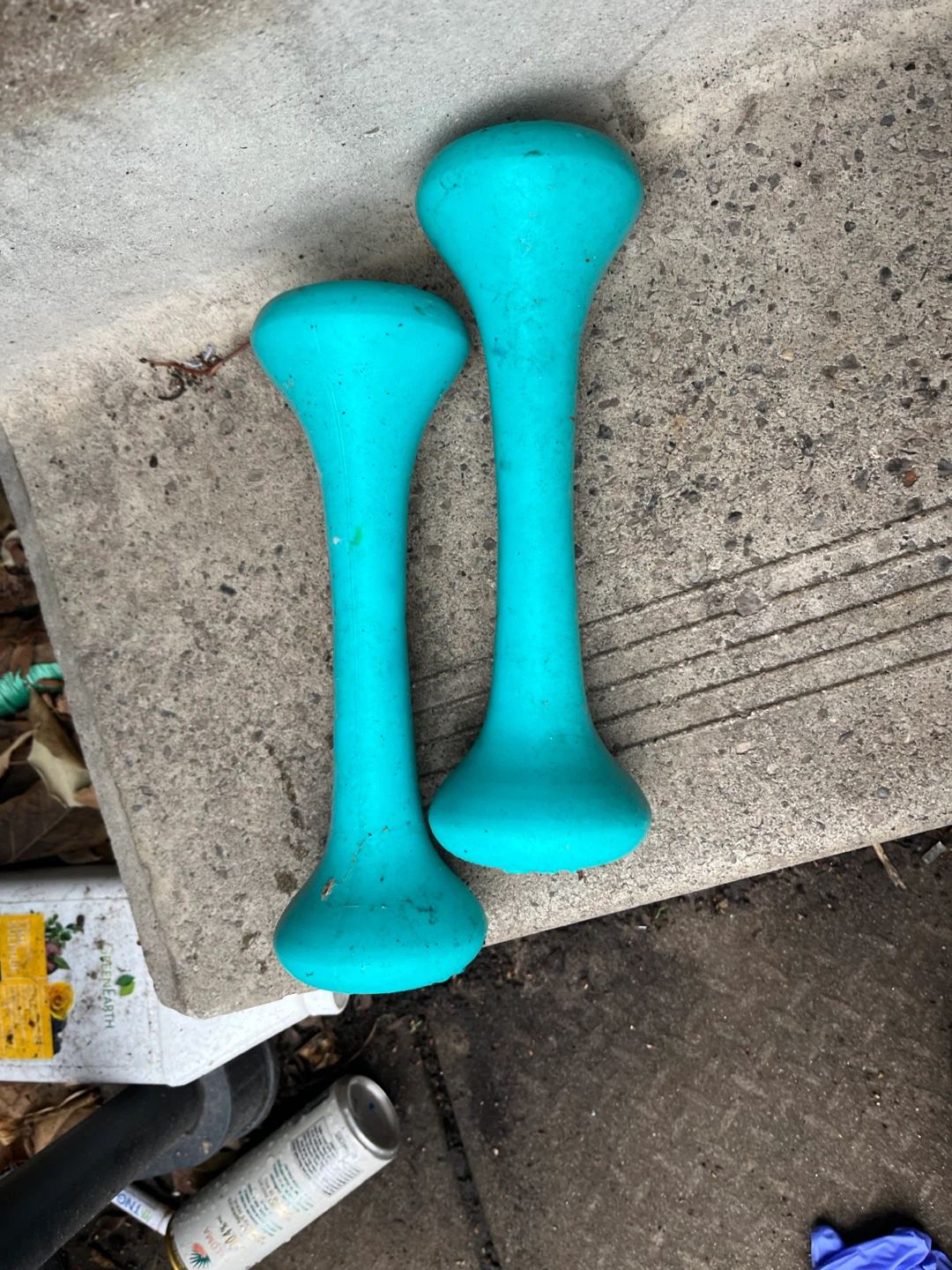 Teal 1kg Dumbbells Pair - photo 2