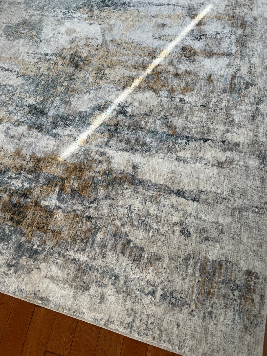 Area Rug - photo 2