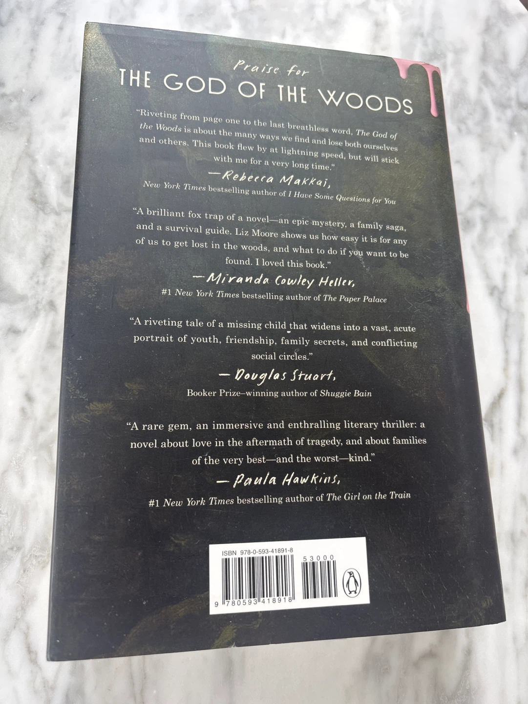 The God of the Woods by Liz Moore Paperback Novel - photo 2