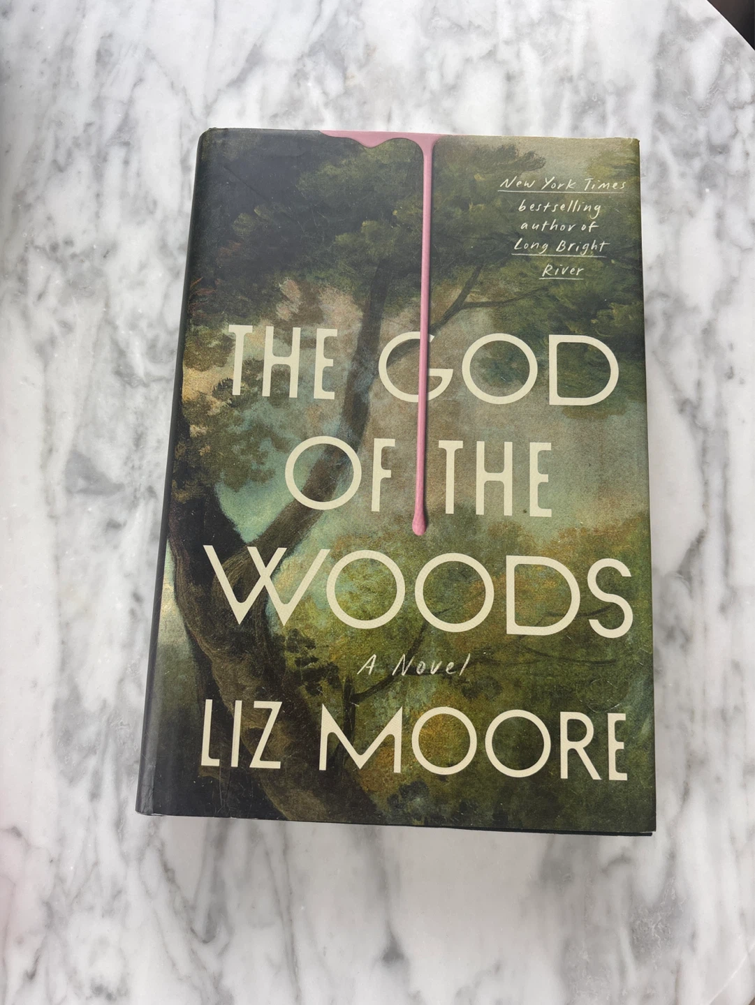 The God of the Woods by Liz Moore Paperback Novel