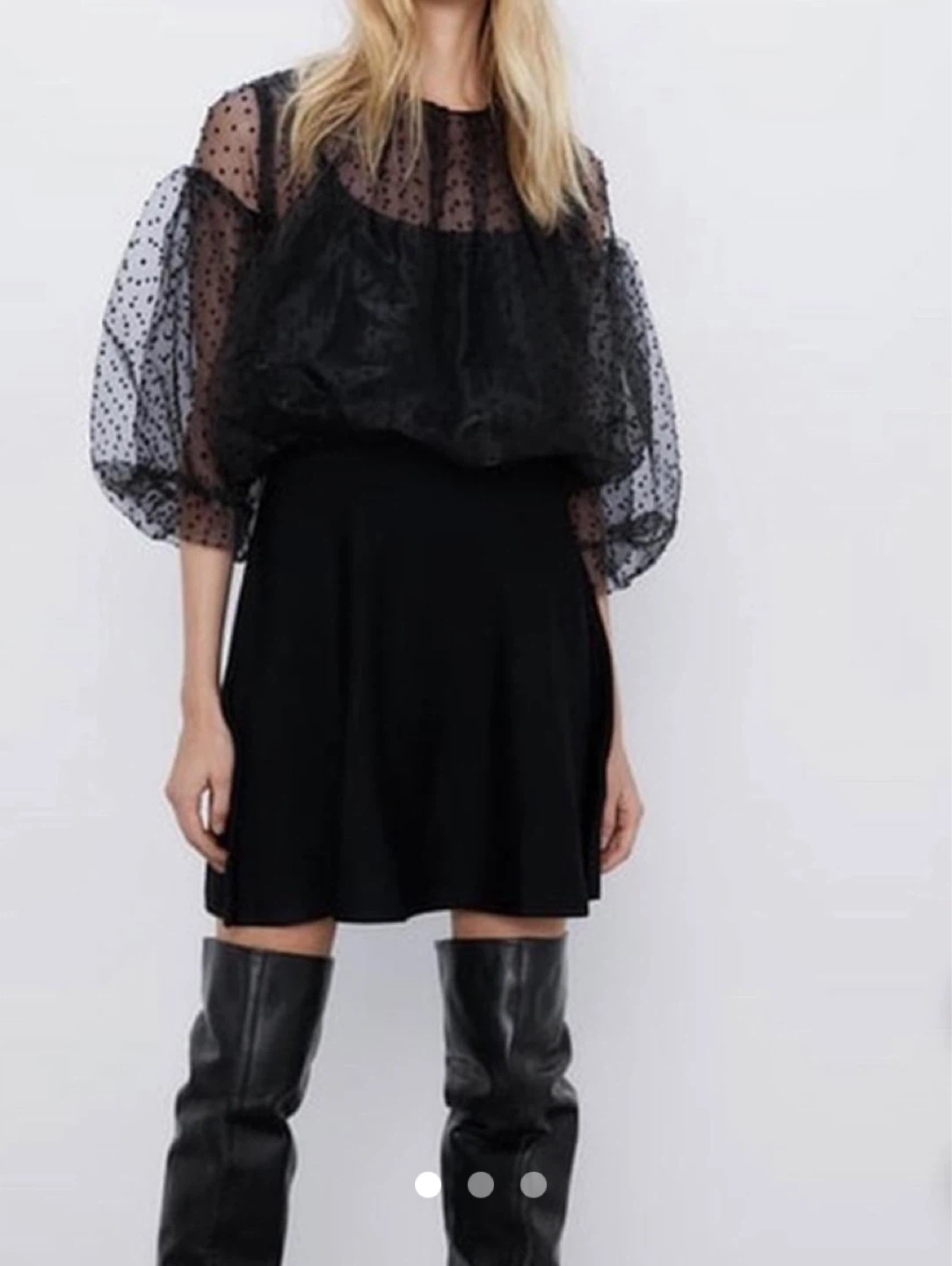 Zara Sheer Black Swiss Dot Dress
