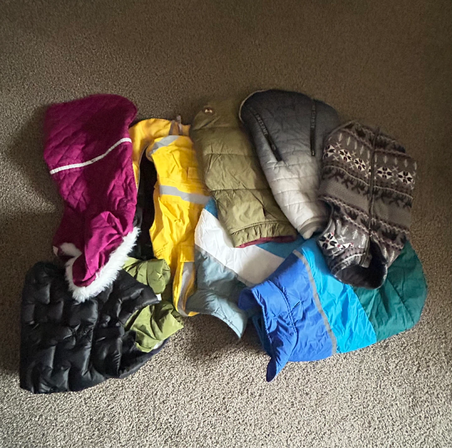 Free coat and boots for medium-sized dog - photo 3