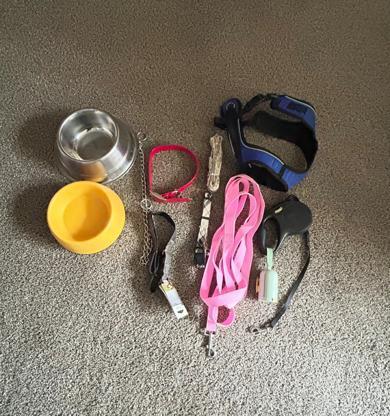Free coat and boots for medium-sized dog