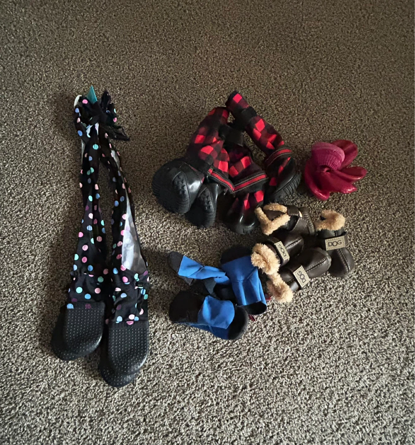 Free coat and boots for medium-sized dog - photo 2