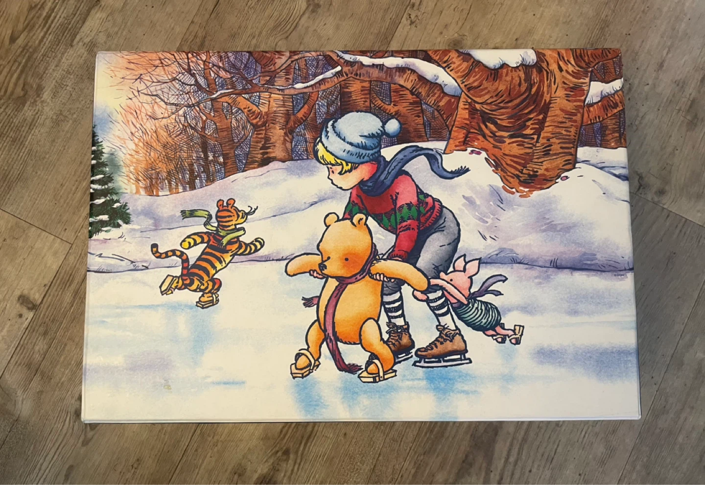 Winnie the Pooh Ice Skating Storage  Box