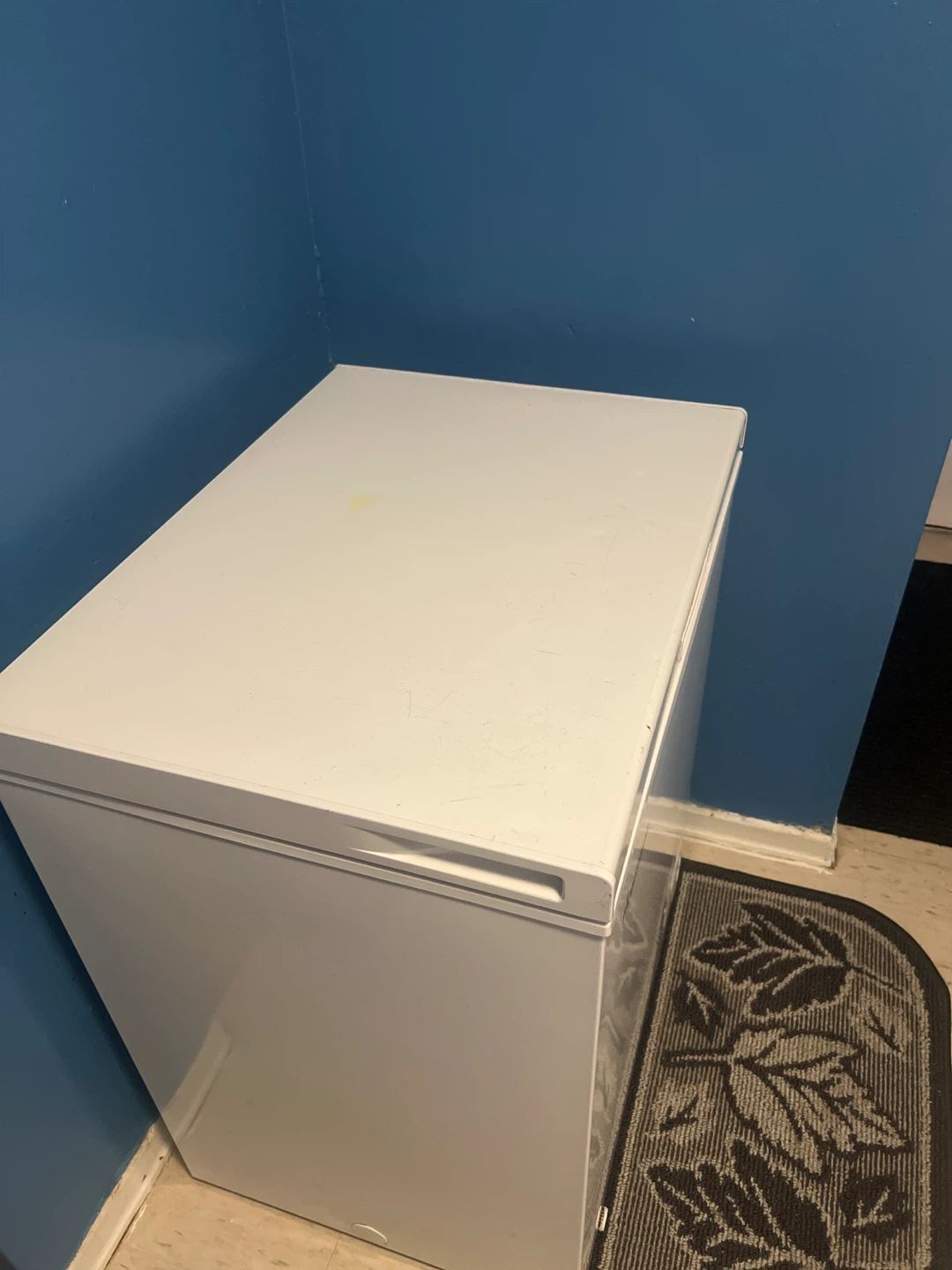 Fridgemaster Chest Freezer - photo 5