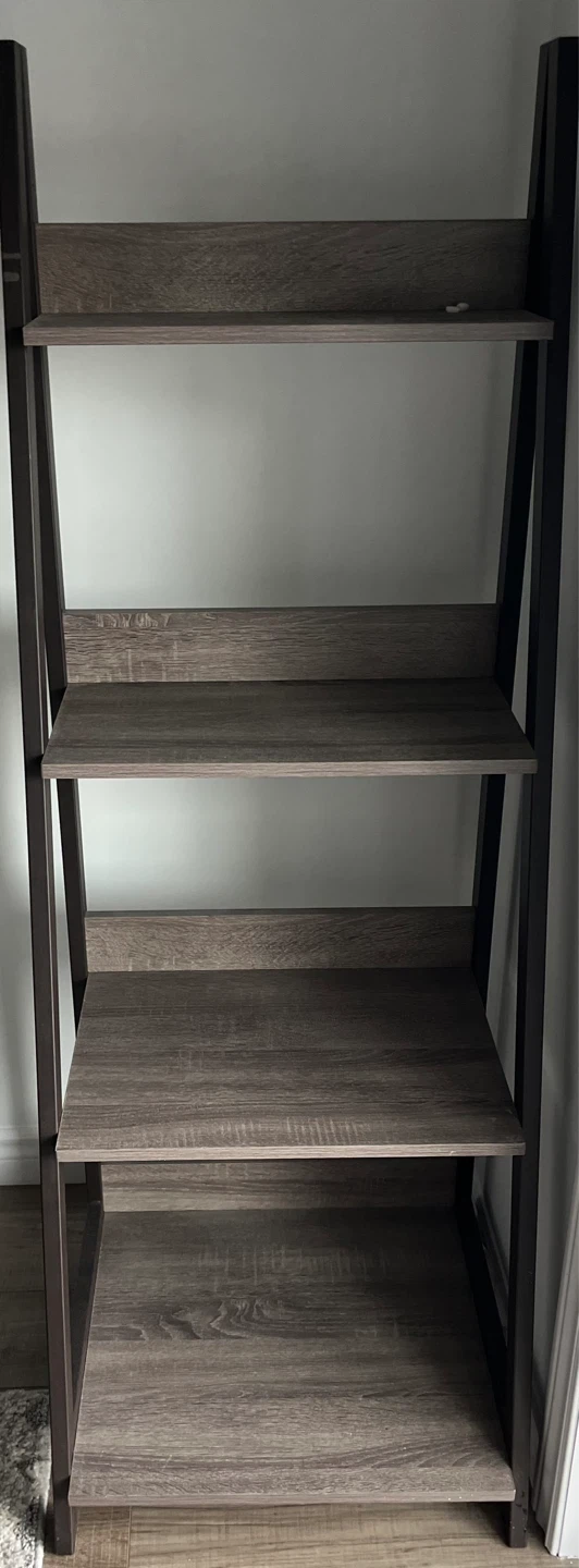 Ladder Bookshelf
