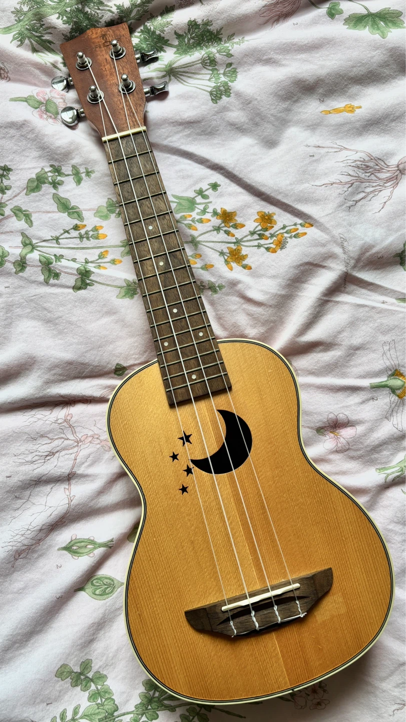 Cute 🌙 Ukulele + Brand New Panda 🐼 Case