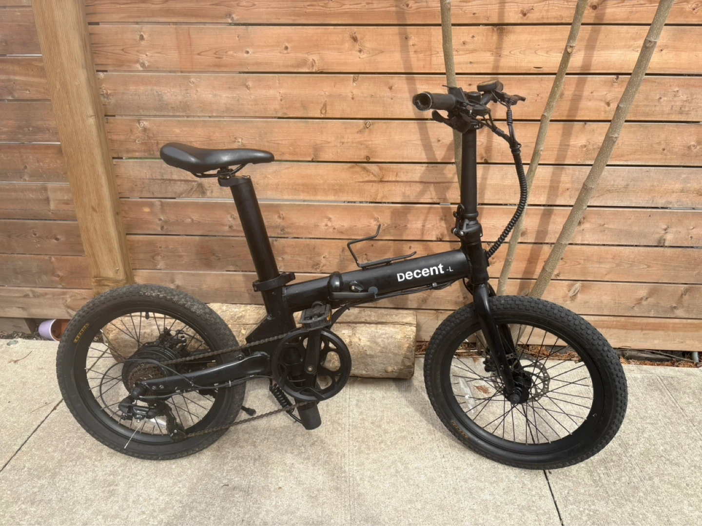 Decent Folding Electric Bike with Charger