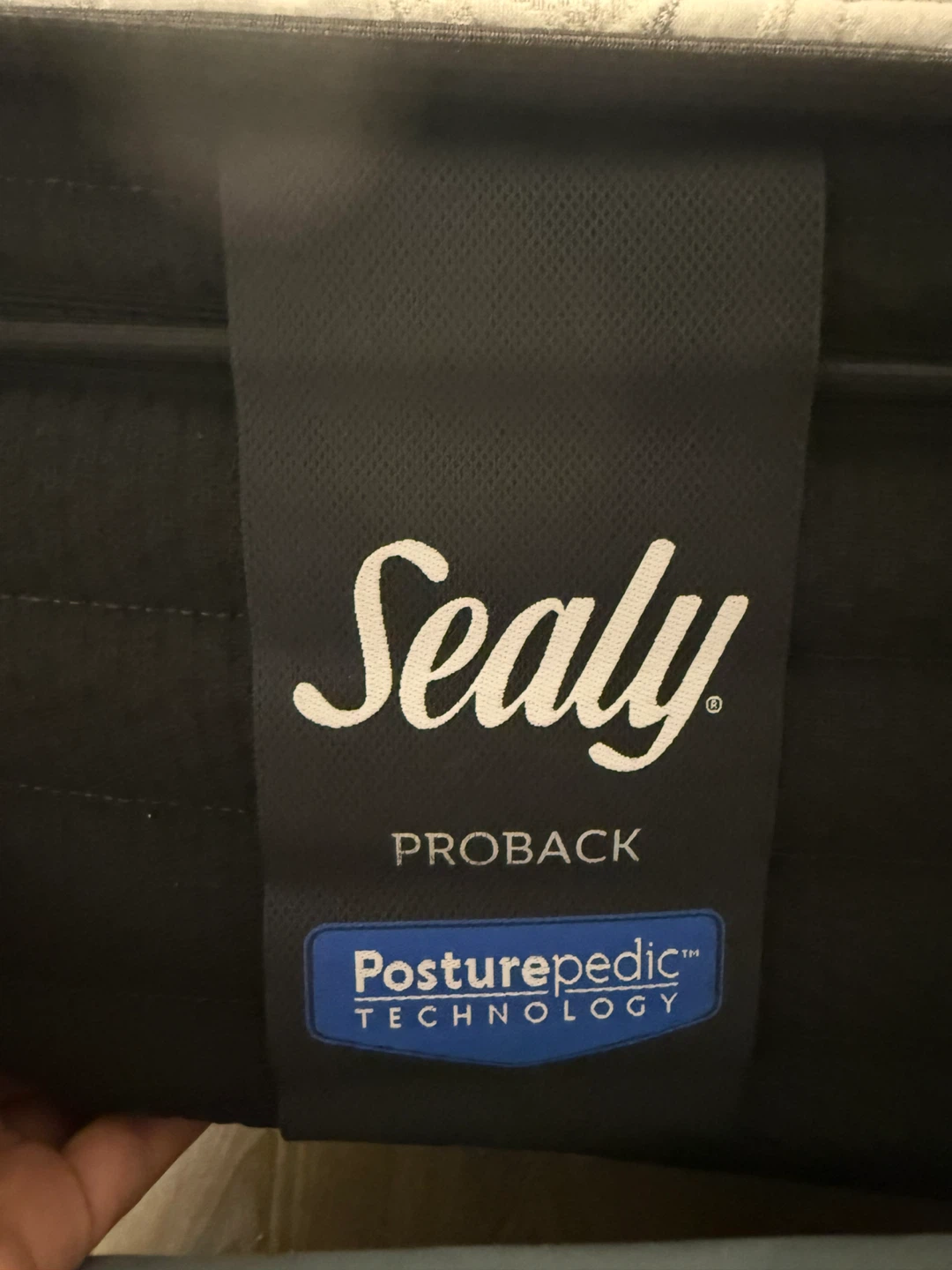 Queen size upholstered frame and Sealy proback Mattress - photo 4