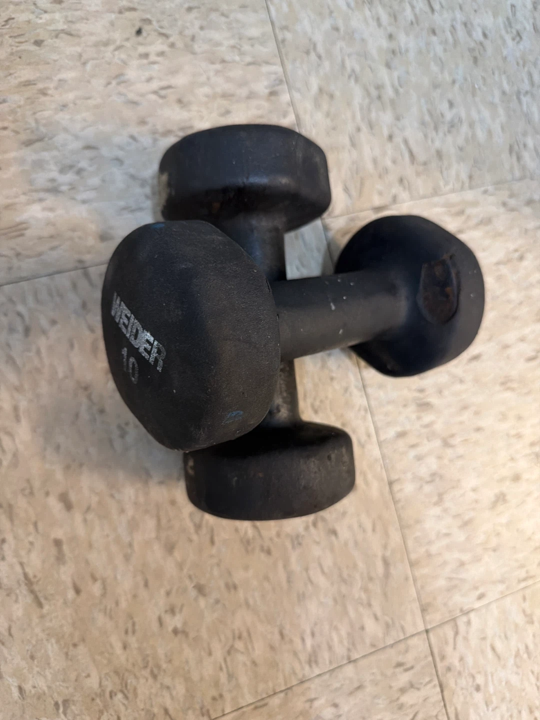 Weider 10 lb Dumbbell