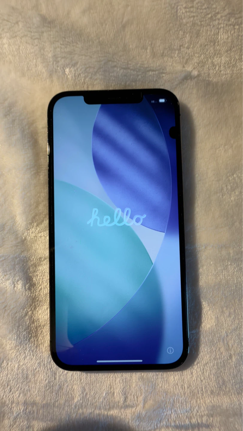 iPhone 12 Pro Max - photo 2
