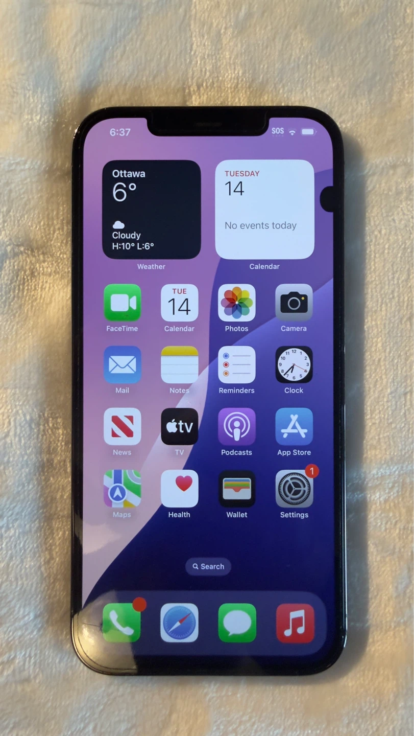 iPhone 12 Pro Max