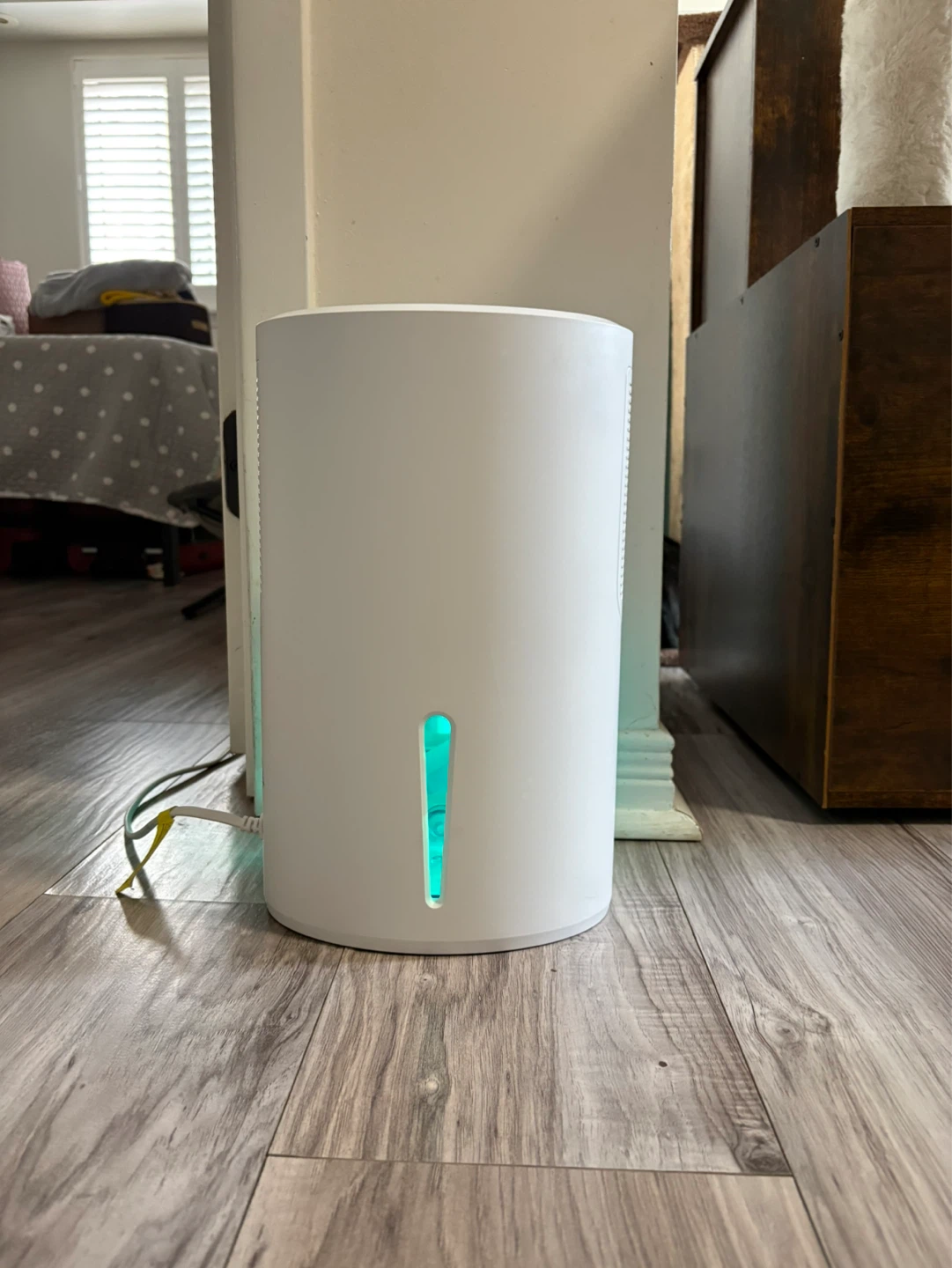 White Dehumidifier with Continuous Drain Hose
