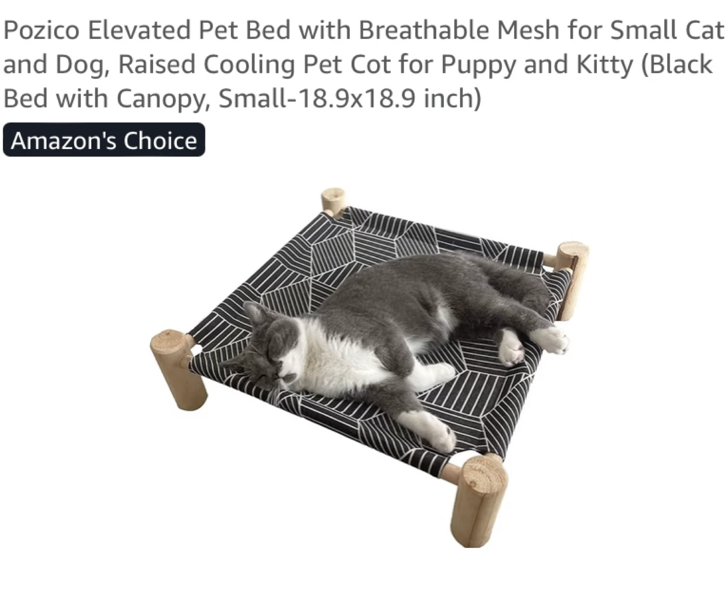 New Elevated Cat Pet Bed