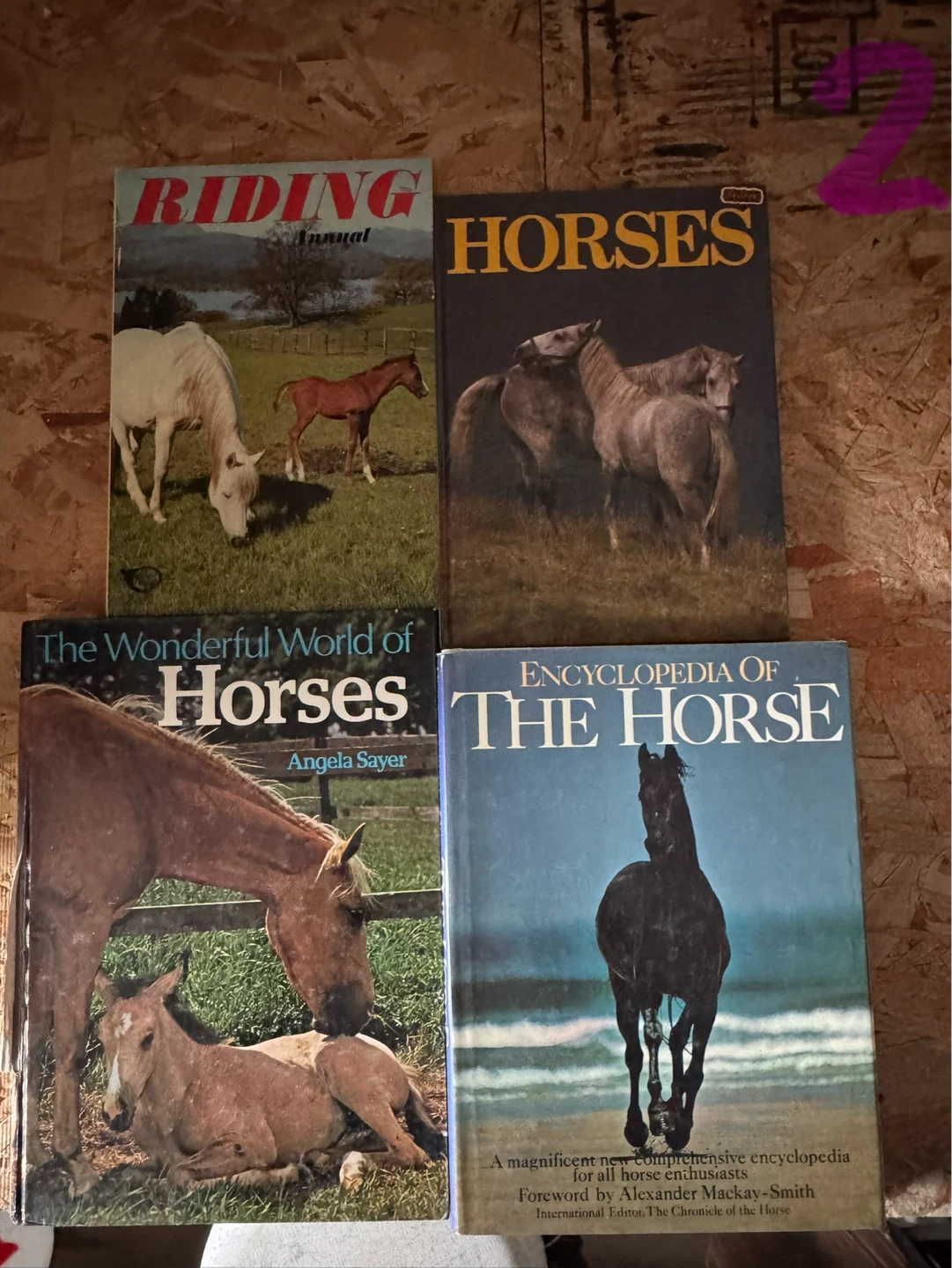 Collection of Horse Books - Various Authors - photo 2