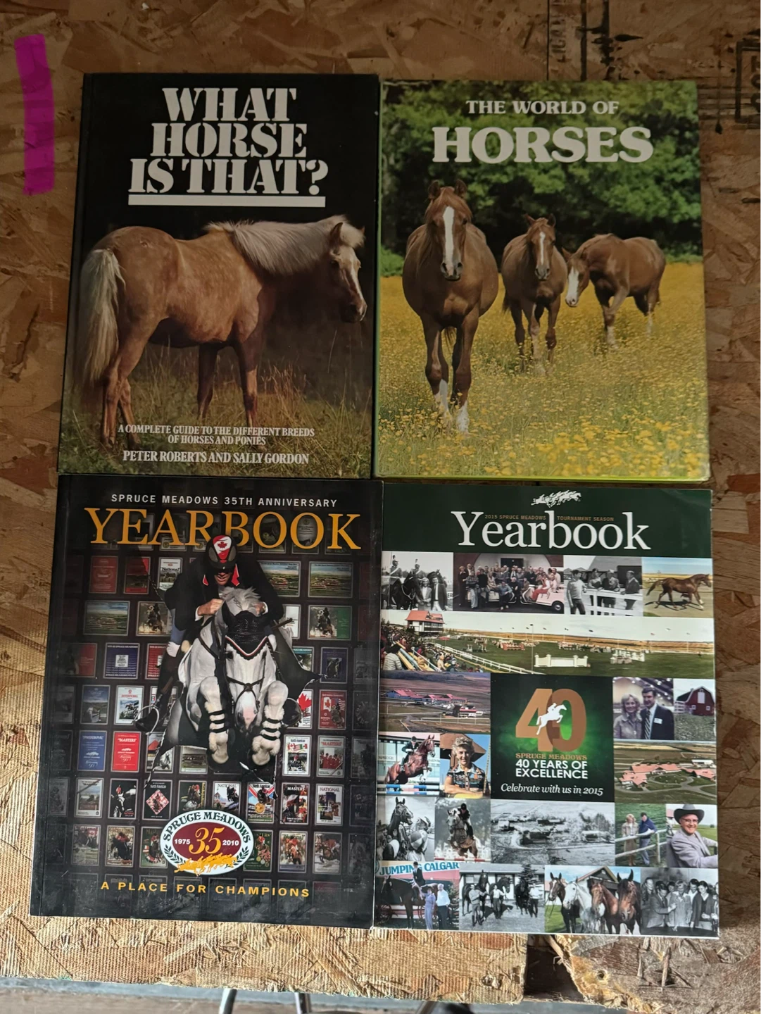 Collection of Horse Books - Various Authors
