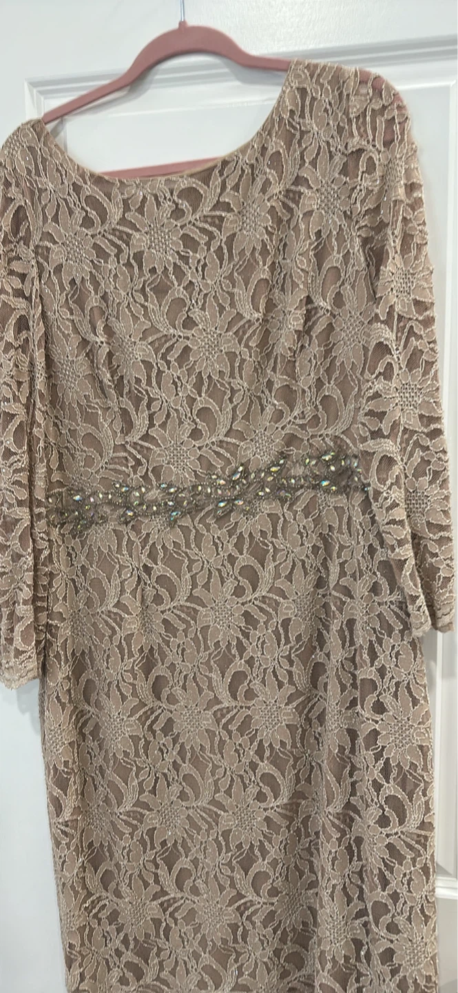 Women's Lace Embellished Sheath Dress