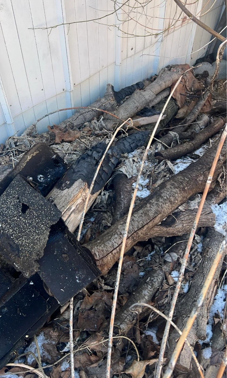 Pile of firewood and burnt wood