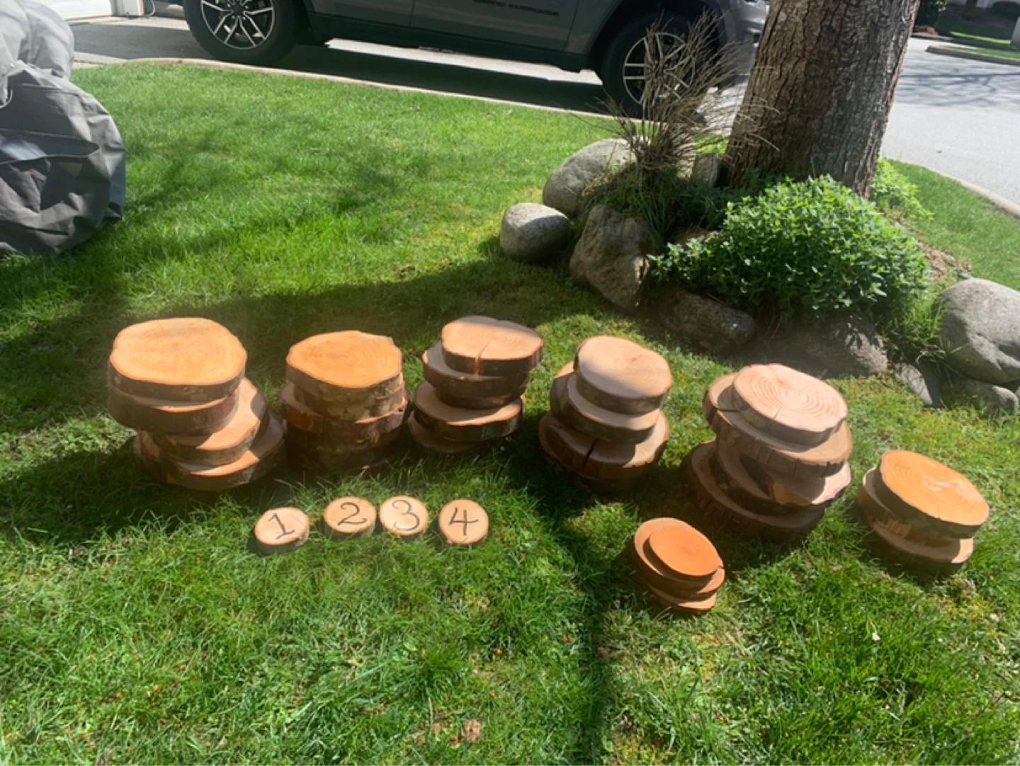 Wooden Slices