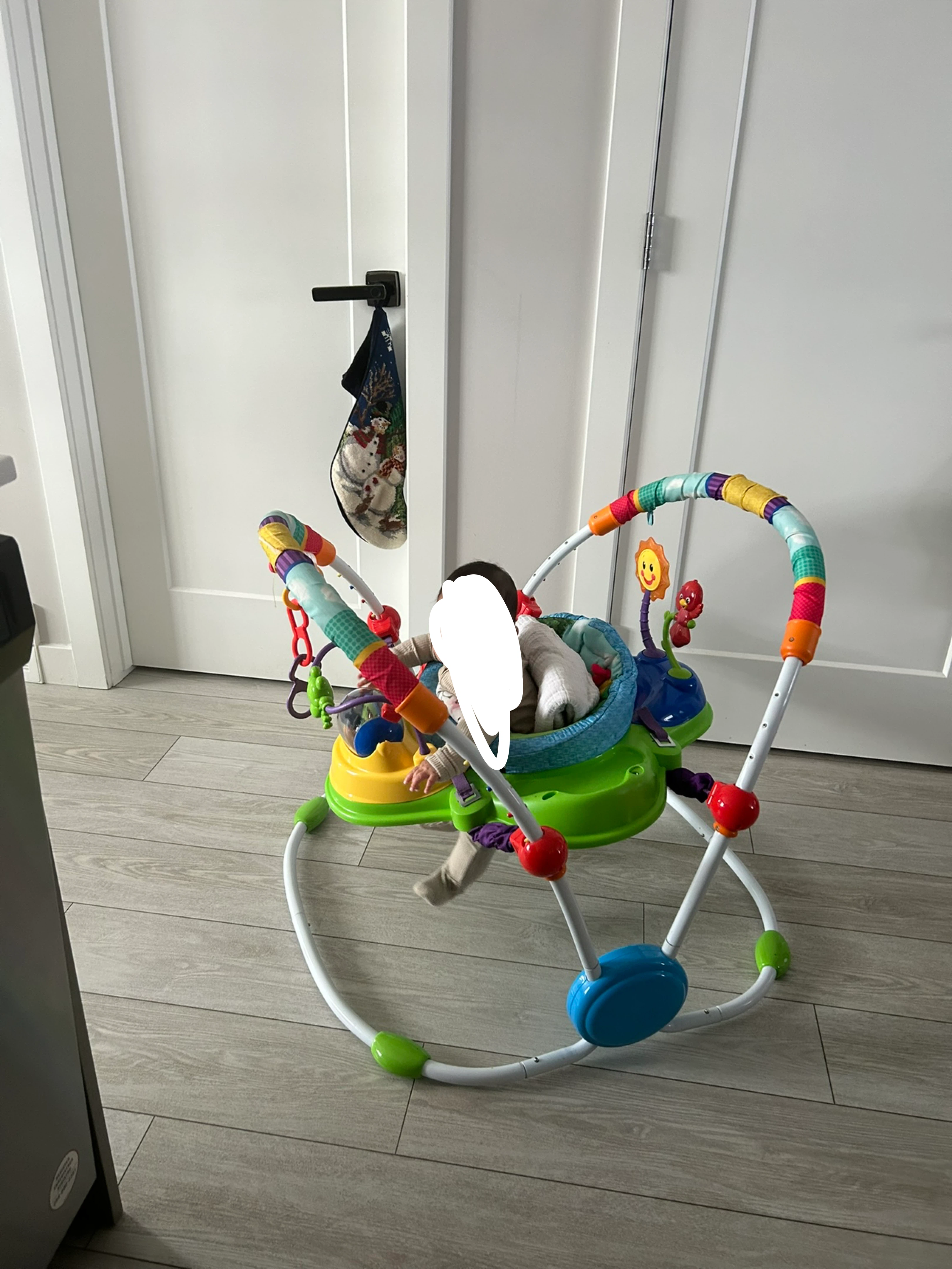 Baby Einstein Musical Jumper - photo 2